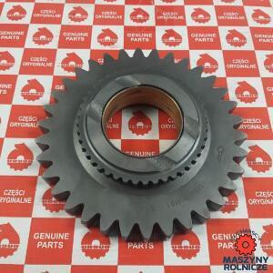 Koło Zębate (Pierścień)